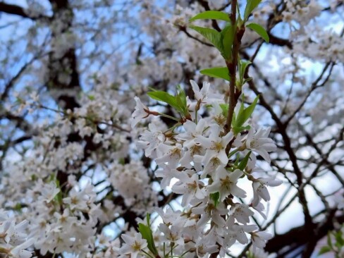 アップでもどうぞ(*^_^*)