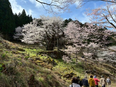 下から見ると、さらに迫力があります。