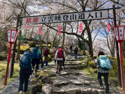 さあ、お花見に行きましょう