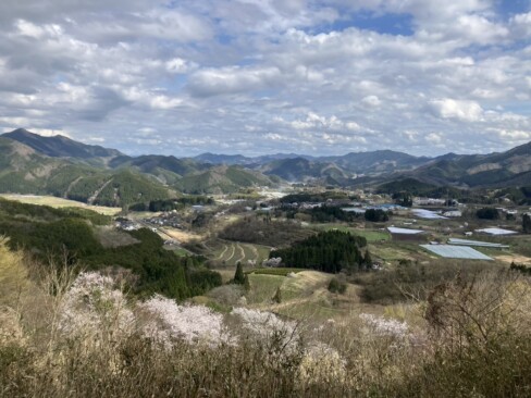 宝山にも登ってみました。