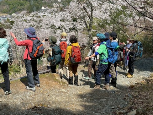 いやあ、絶景ですーーー