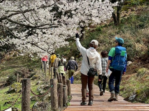 いつまでも眺めていたいけれど・・・