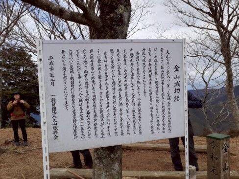 敵対する黒井城と八上城の間に割って入った形の金山城なのかな