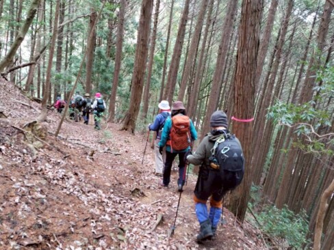 杉の木立の中を下っていきます。