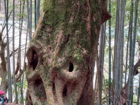 おもしろい😁何に見えるかは、それぞれで・・・