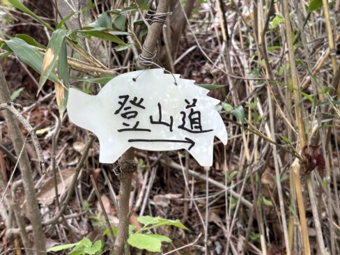 取り付きも迷うことなく、登山開始✌