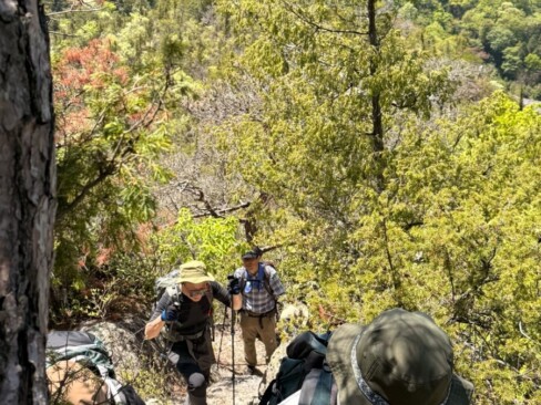 お日様出てきて暑いけど、がんばって歩きまーす。