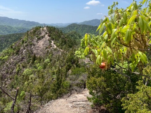 ずっと続く岩の稜線。まさに、アルプス。