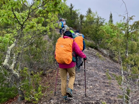 雨にも負けず、がんばります👊