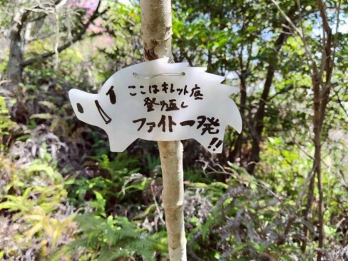 「ウリピー」と呼ばれるイノシシのプレート。