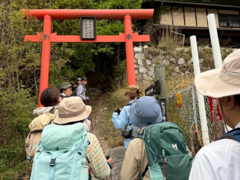 この鳥居から登ります。