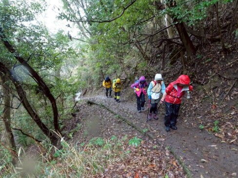 小雨の中、ぬかるんだ登山道を進みました。