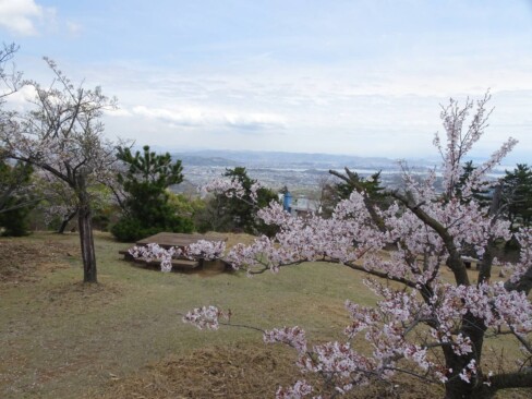 目鑑展望台、桜と芝生と瀬戸内の風景が美しい