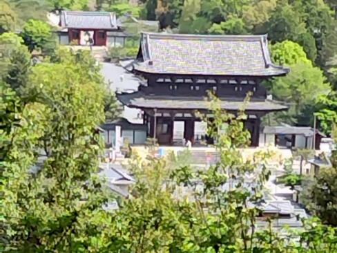 三の丘から望む仁和寺の伽藍