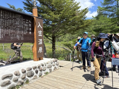 入笠湿原はお花の宝庫