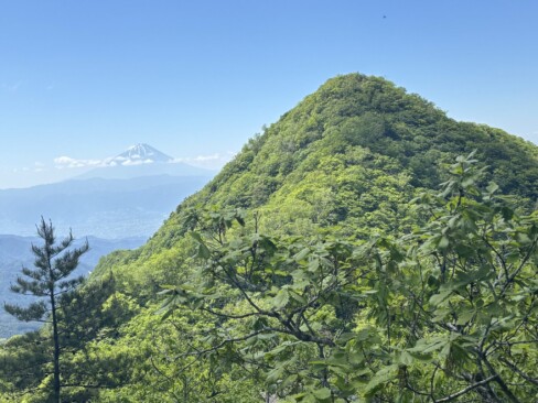 振り返って・・・茅ケ岳と富士山
