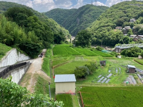 田園風景の中を進みます。