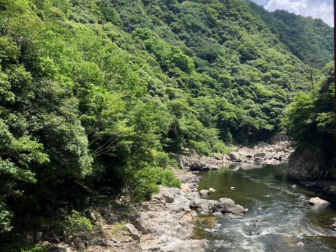 この川で遊びたい・・・