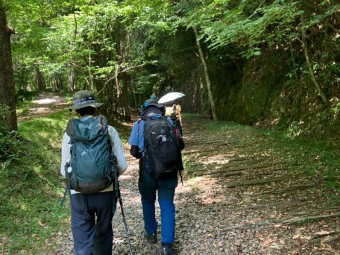 木漏れ日の中を歩きます。