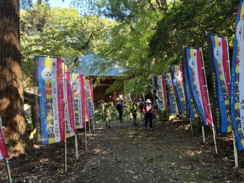 今年の幟がたくさん立っています。