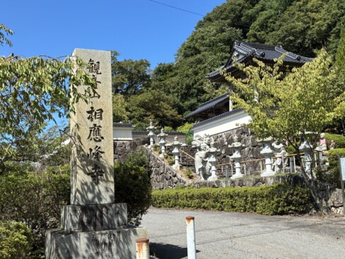 めっちゃ晴れてきました(^-^;)予想外にいい天気。