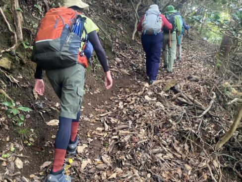 つづら折れの登山道をゆっくりと歩きます。